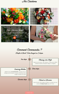 projet d'un site pour l'Arbre à Fleurs